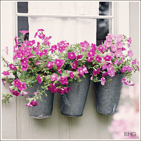 planter flower fence containers galvanized buckets creative gardening sure puncture attach drainage shed holes bottom